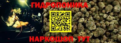 МДПВ Тулун