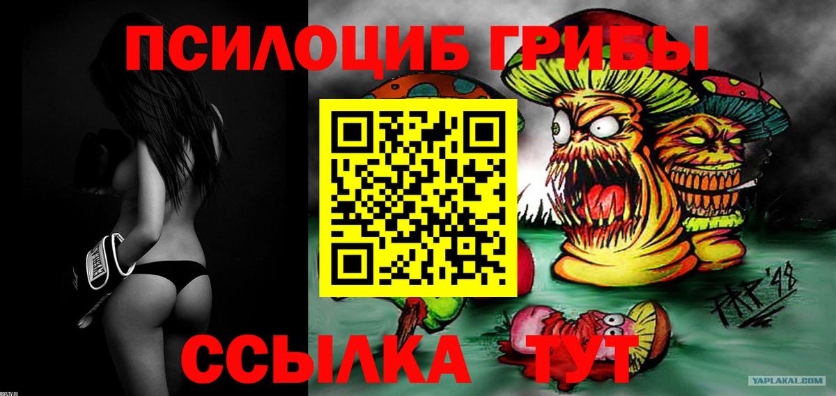 Галлюциногенные грибы Magic Shrooms  Псилоцибиновые грибы Psilocybe  Вход с VPN  Ачинск 